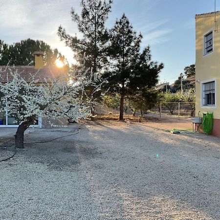 La Antigua Casa Del Astronomo Casa Rural Ricote Екстериор снимка