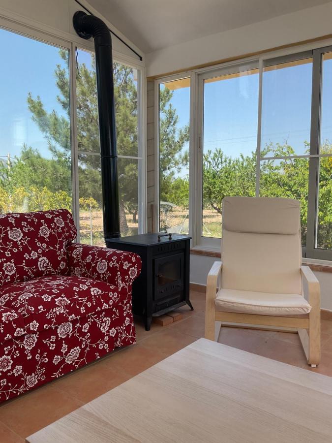 La Antigua Casa Del Astronomo Casa Rural Ricote Екстериор снимка