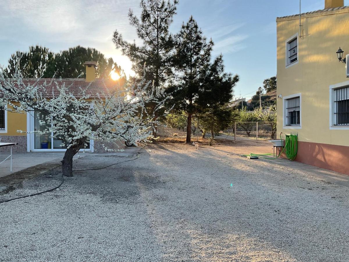 La Antigua Casa Del Astronomo Casa Rural Ricote Екстериор снимка